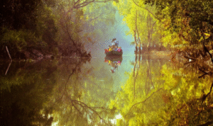 sundarban tour packages