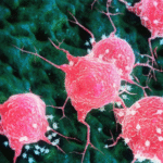 source – Clinical Trial Vanguard