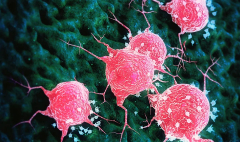 source – Clinical Trial Vanguard