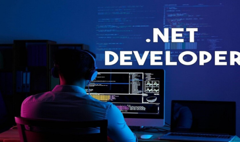 .NET developer