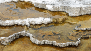 hydrogen sulfide water