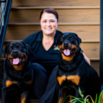 Dog training for rescue dogs