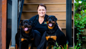 Dog training for rescue dogs