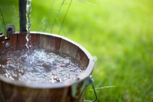 water contains nitrates