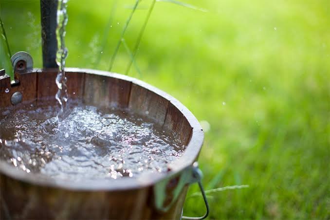water contains nitrates